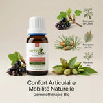 Gem-Art 02 Bio 15ml Alphagem avec ingrédients botaniques et bourgeons en gemmothérapie