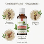 Gem-Art 02 Bio 50ml - Gemmothérapie articulations avec bourgeons cassis, figuier et framboisier Alphagem