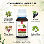 Gem-Circu 04 Bio 15ml - Gemmothérapie bio avec bourgeon de châtaignier pour drainage lymphatique