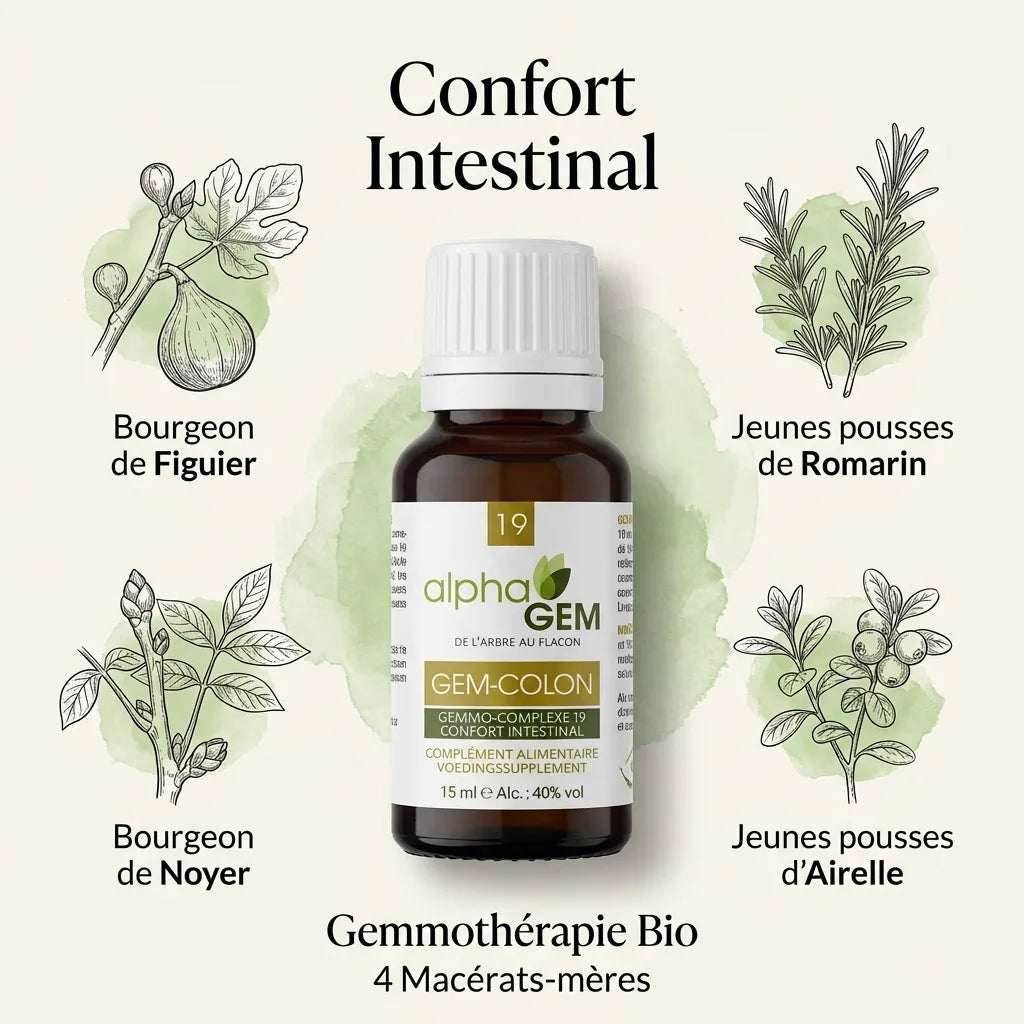 Gem-Colon 19 Bio 15ml flacon gemmothérapie avec ingrédients botaniques et macérats-mères pour confort intestinal