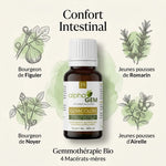Gem-Colon 19 Bio 15ml flacon gemmothérapie avec ingrédients botaniques et macérats-mères pour confort intestinal