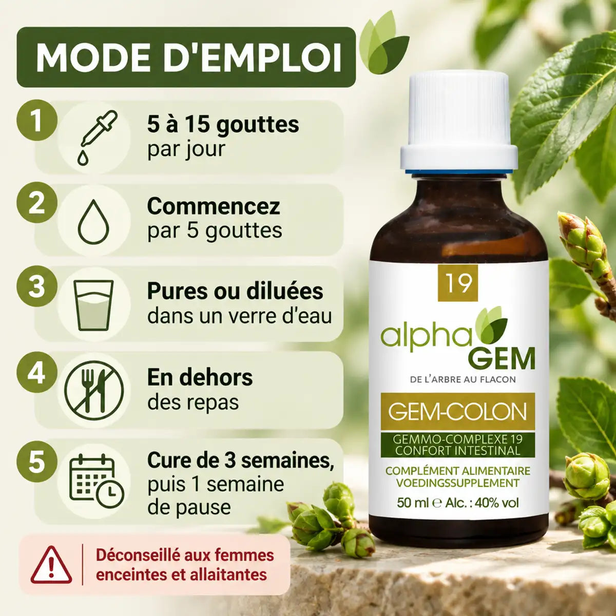 Gem-Colon 19 Bio 50 ml Alphagem : flacon et mode d'emploi en 5 étapes, 5 à 15 gouttes par jour