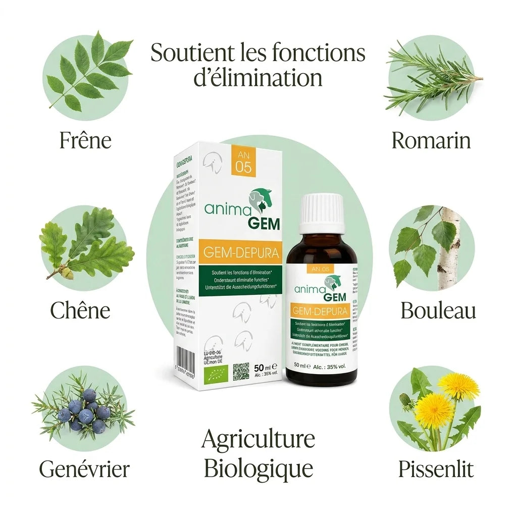 Gem-Depura 15ml ANIMAGEM flacon avec infographie des 6 plantes bio pour élimination naturelle