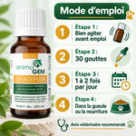 Flacon Gem-Depura AnimaGEM 15 ml pour la détox du foie, avec mode d'emploi en 4 étapes pour chien
