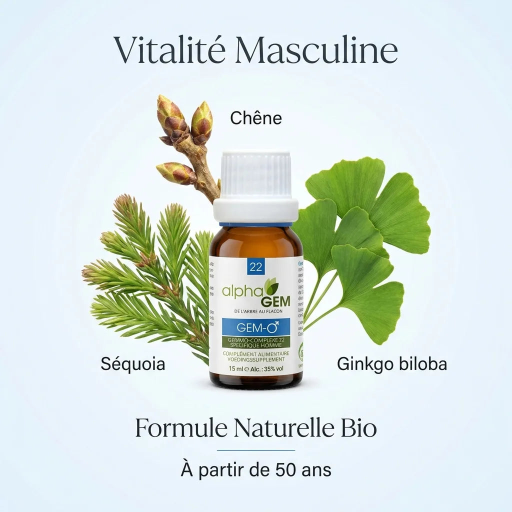 Gem-Homme 22 Bio 15ml avec ingrédients naturels : Séquoia, Chêne, Ginkgo biloba