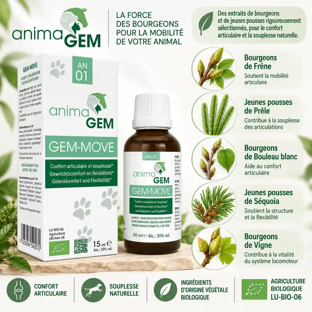 Gem-Move AnimaGEM 15ml confort articulaire avec bourgeons de frêne, prêle et bouleau bio