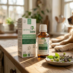 Flacon compte-gouttes ambré et packaging Gem-Move animaGEM sur un plan de travail en bois, complément confort articulaire pour chien

Hmm, let me check length: roughly 135 characters, too long. Shorter version:

Flacon ambré et emballage Gem-Move animaGEM sur un plan de travail, complément confort articulaire pour chien