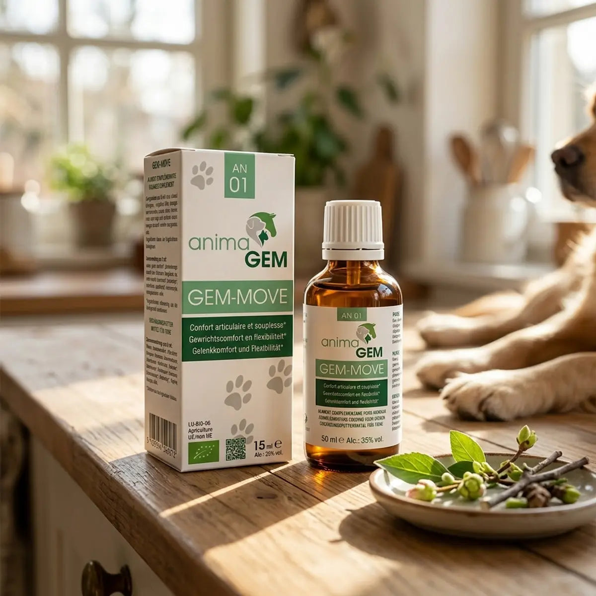 Flacon compte-gouttes ambré et packaging Gem-Move animaGEM sur un plan de travail en bois, complément confort articulaire pour chien

Hmm, let me check length: roughly 135 characters, too long. Shorter version:

Flacon ambré et emballage Gem-Move animaGEM sur un plan de travail, complément confort articulaire pour chien