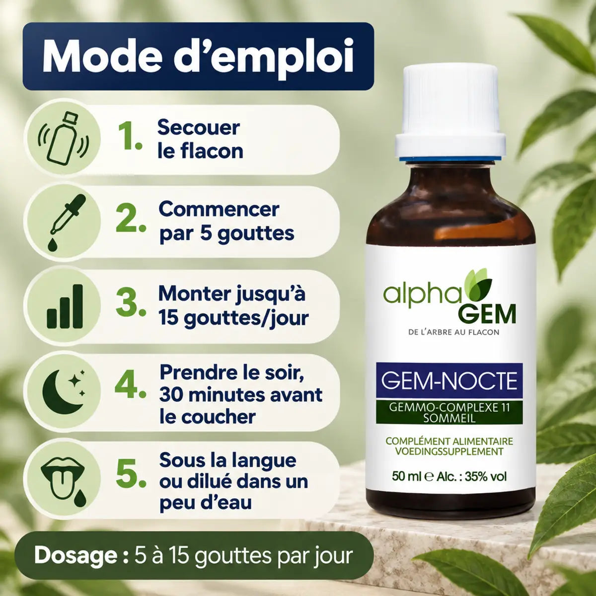 Flacon Gem-Nocte 11 Bio 50 ml Alphagem et mode d'emploi : 5 à 15 gouttes par jour le soir