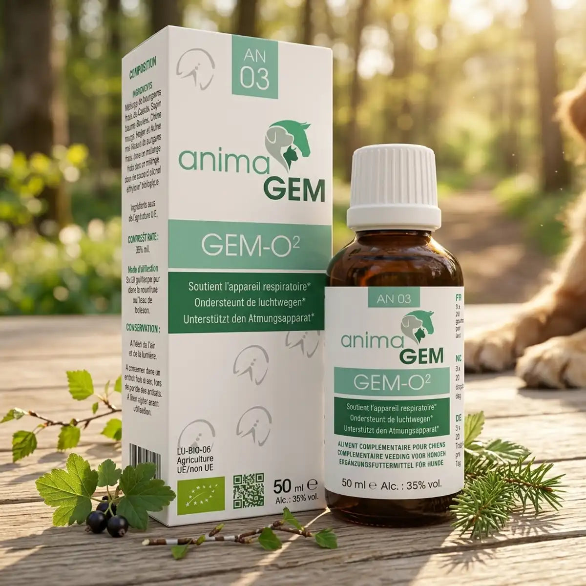 Flacon AnimaGEM Gem-O² Soutien Respiratoire 15 ml avec boîte blanche et verte, entouré de cassis, bouleau et sapin
