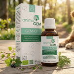 Flacon AnimaGEM Gem-O² Soutien Respiratoire 15 ml avec boîte blanche et verte, entouré de cassis, bouleau et sapin