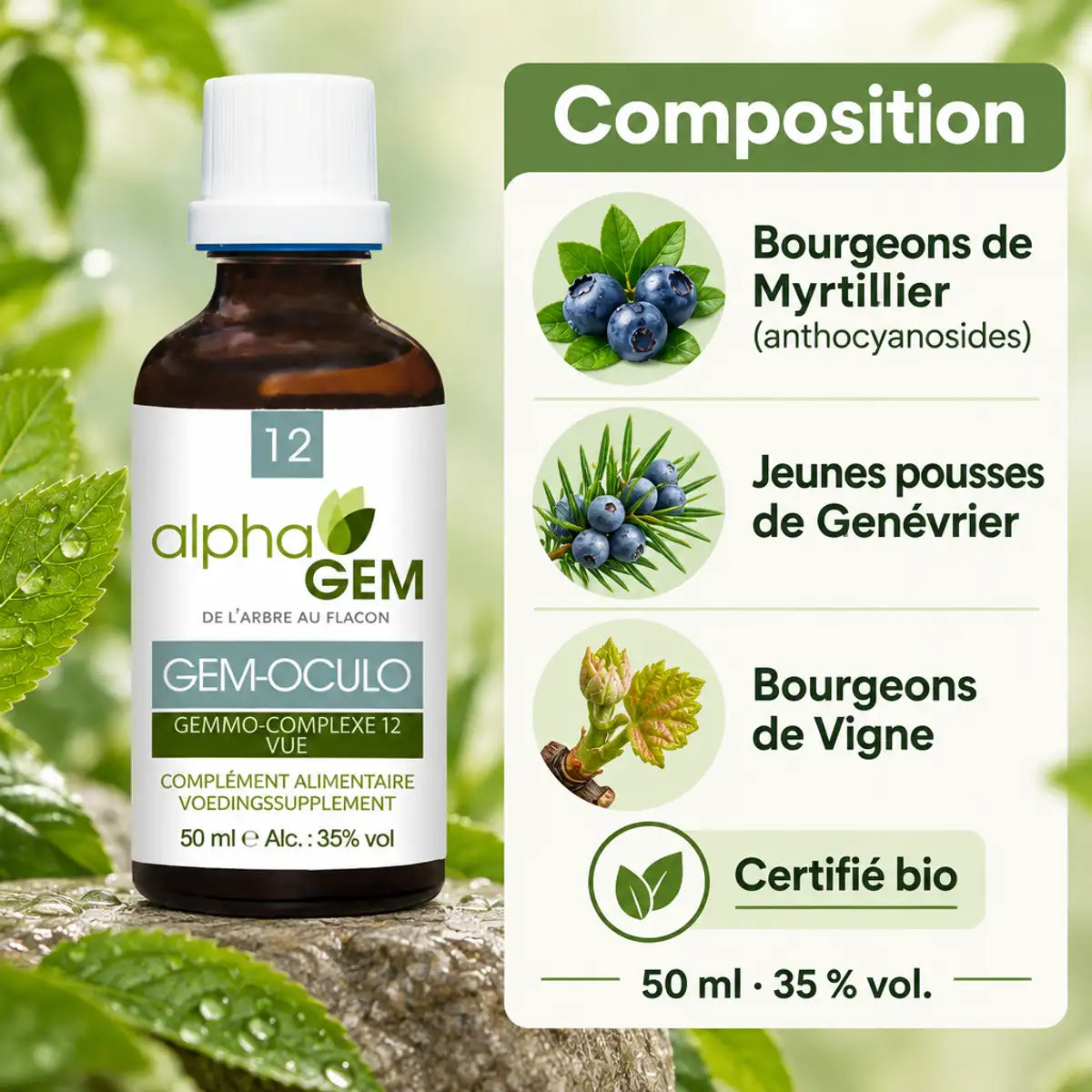 Flacon Gem-Oculo 12 Bio Alphagem 50 ml avec infographie sur la composition : bourgeons de myrtillier, jeunes pousses de genévrier et bourgeons de vigne