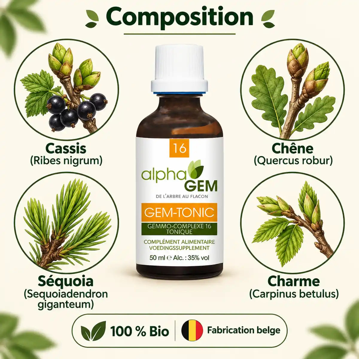 Flacon Gem-Tonic 16 Bio 50 ml Alphagem entouré de bourgeons de cassis, chêne, séquoia et charme sur fond crème