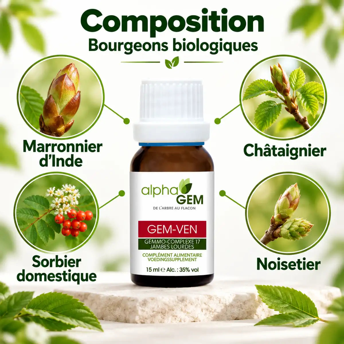 Flacon Gem-ven 17 Bio Alphagem 15 ml entouré de bourgeons de marronnier d'Inde, châtaignier, sorbier et noisetier biologiques