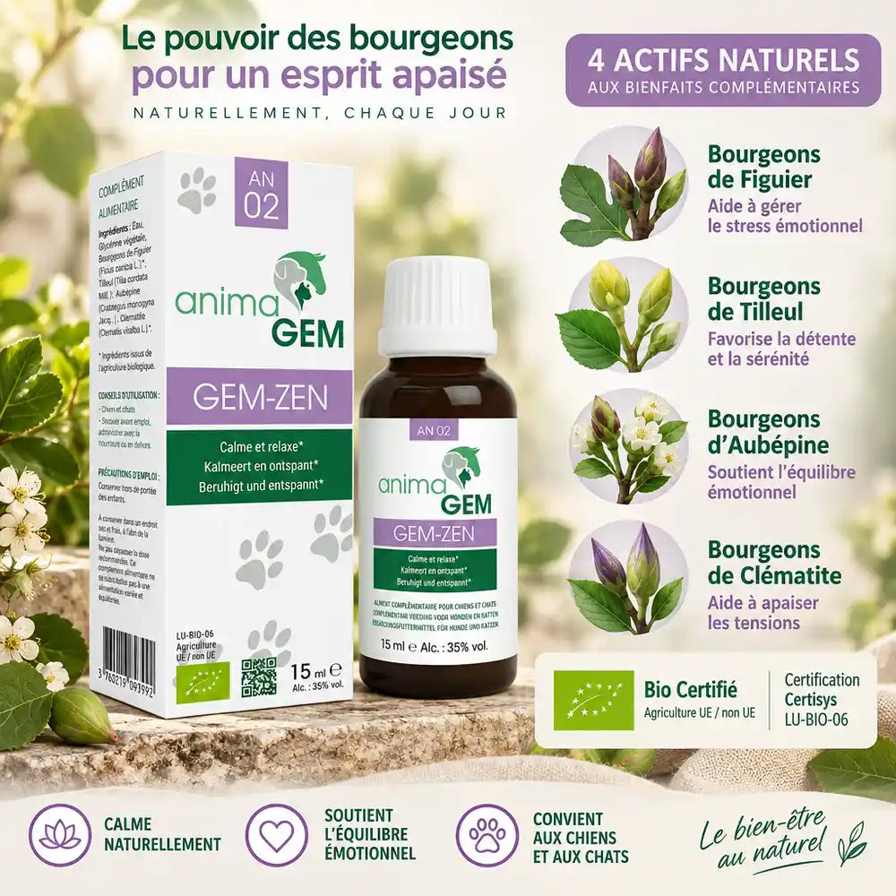 Gem-Zen 15ml AnimaGEM - flacon avec bourgeons de figuier, tilleul, aubépine et clématite bio certifiés