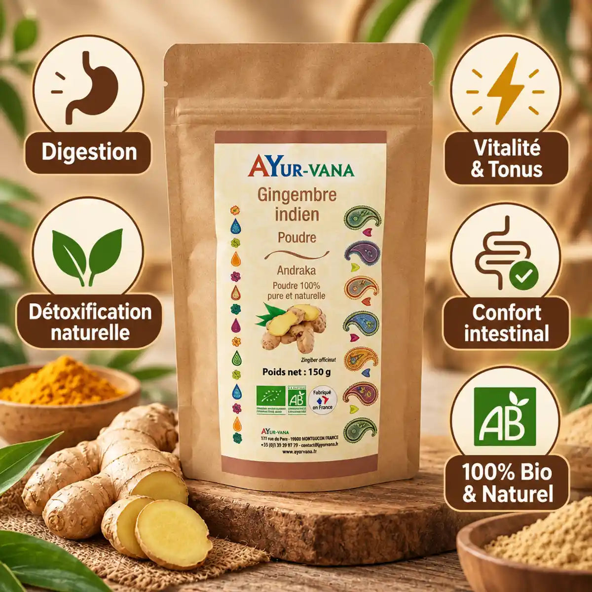 Poudre de gingembre indien bio Ayur-vana 150g avec icônes bénéfices digestion et vitalité
