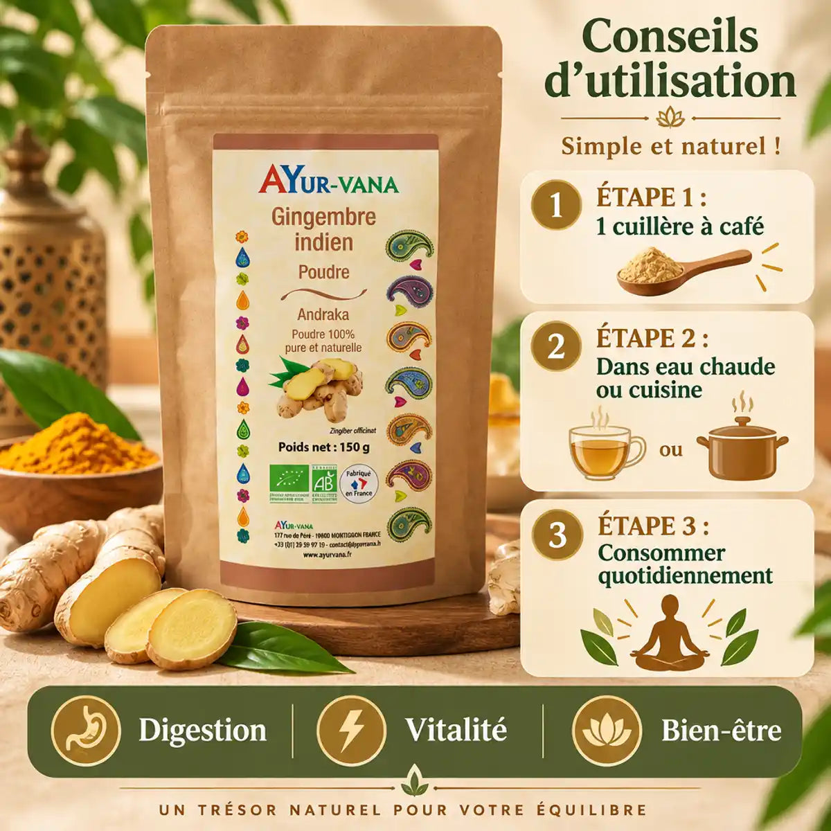 Poudre gingembre indien bio Ayur-vana 150g avec guide d'utilisation et bienfaits pour la digestion et vitalité