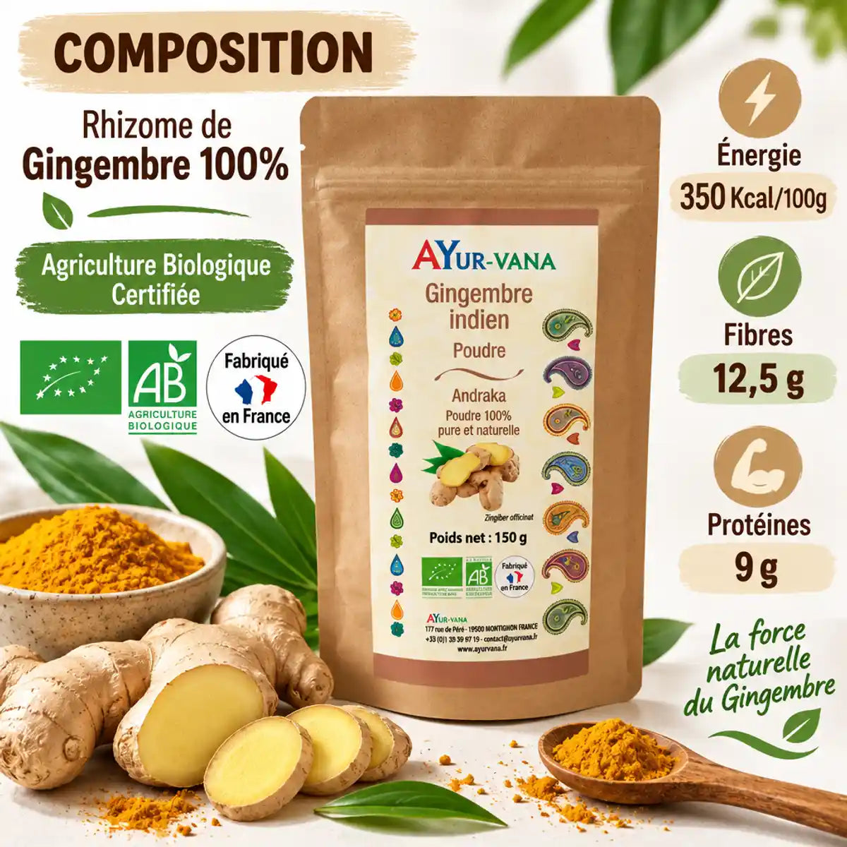 Poudre gingembre indien bio Ayur-vana 150g avec racines fraîches et composition nutritionnelle certifiée