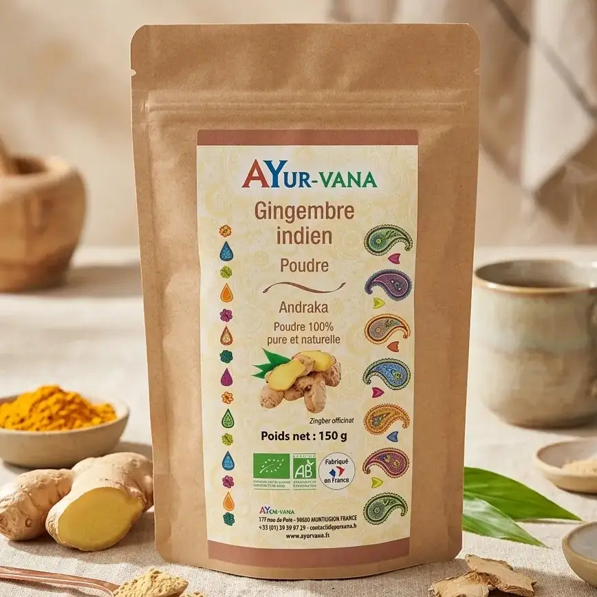 Poudre de gingembre indien bio Ayur-vana 150g avec racines fraîches et épices ayurvédiques
