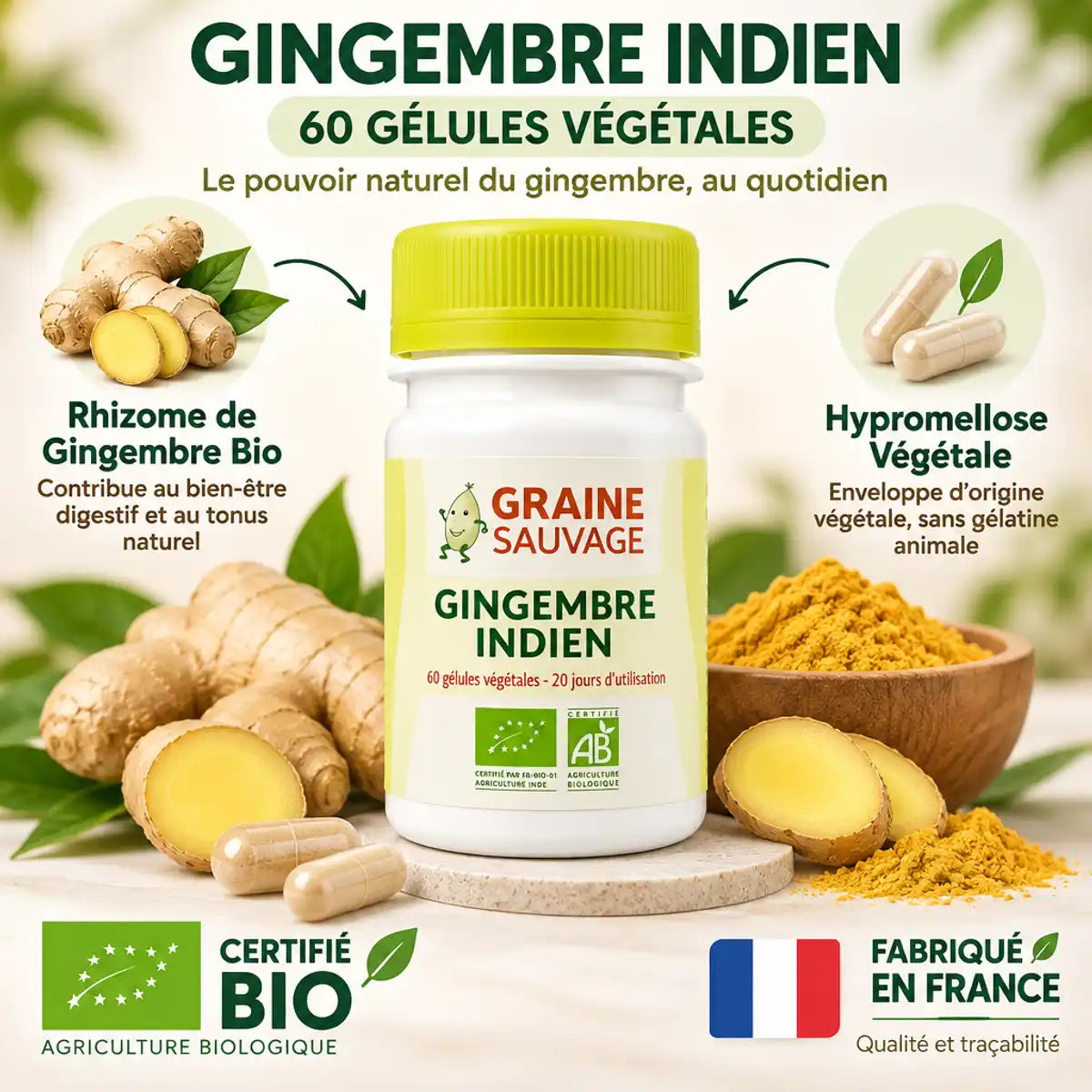 Gélules Gingembre Indien bio Graine Sauvage 60 capsules végétales certifiées bio avec rhizome frais