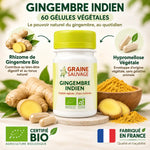 Gélules Gingembre Indien bio Graine Sauvage 60 capsules végétales certifiées bio avec rhizome frais