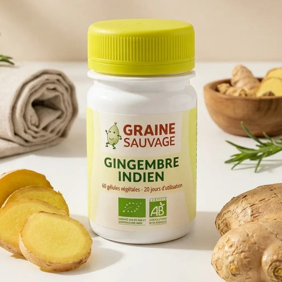 Gélules de gingembre indien bio Graine Sauvage avec racine fraîche et packaging premium