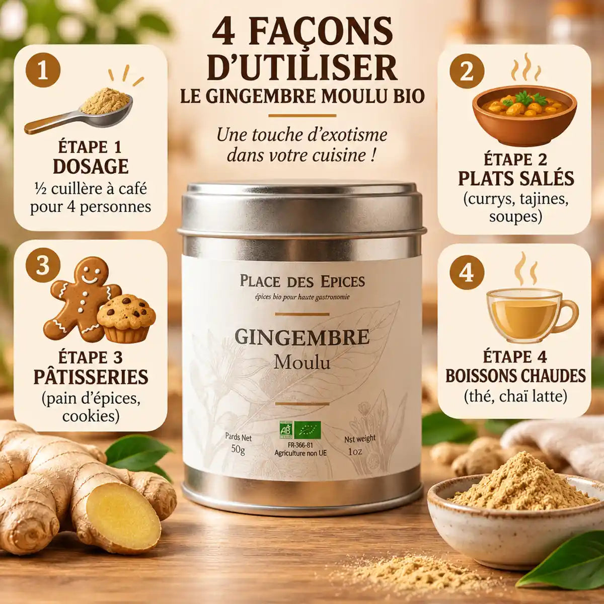 Gingembre Moulu Bio 50g Place des Épices - Packaging et guide d'utilisation culinaire avec dosage et recettes