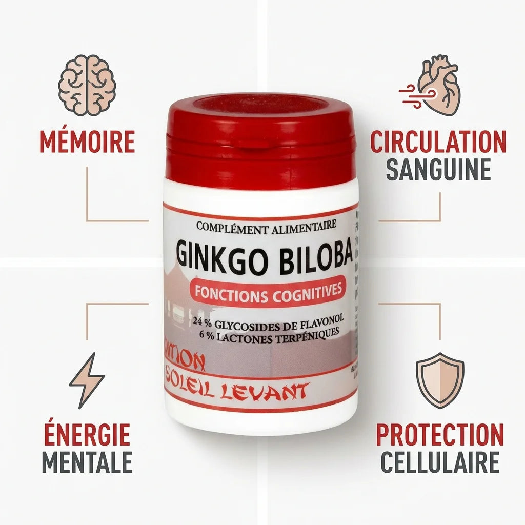 Ginkgo Biloba 60 gélules avec bénéfices mémoire, circulation sanguine, énergie mentale et protection cellulaire