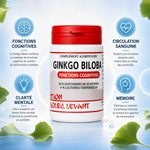 Ginkgo Biloba 60 gélules - Bouteille avec bénéfices cognitifs, circulation et mémoire