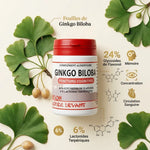 Ginkgo Biloba 60 gélules avec ingrédients actifs pour mémoire et concentration