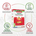 Superdiet Ginseng Gelée Royale Acérola Bio 20 ampoules, énergie vitalité immunité fatigue