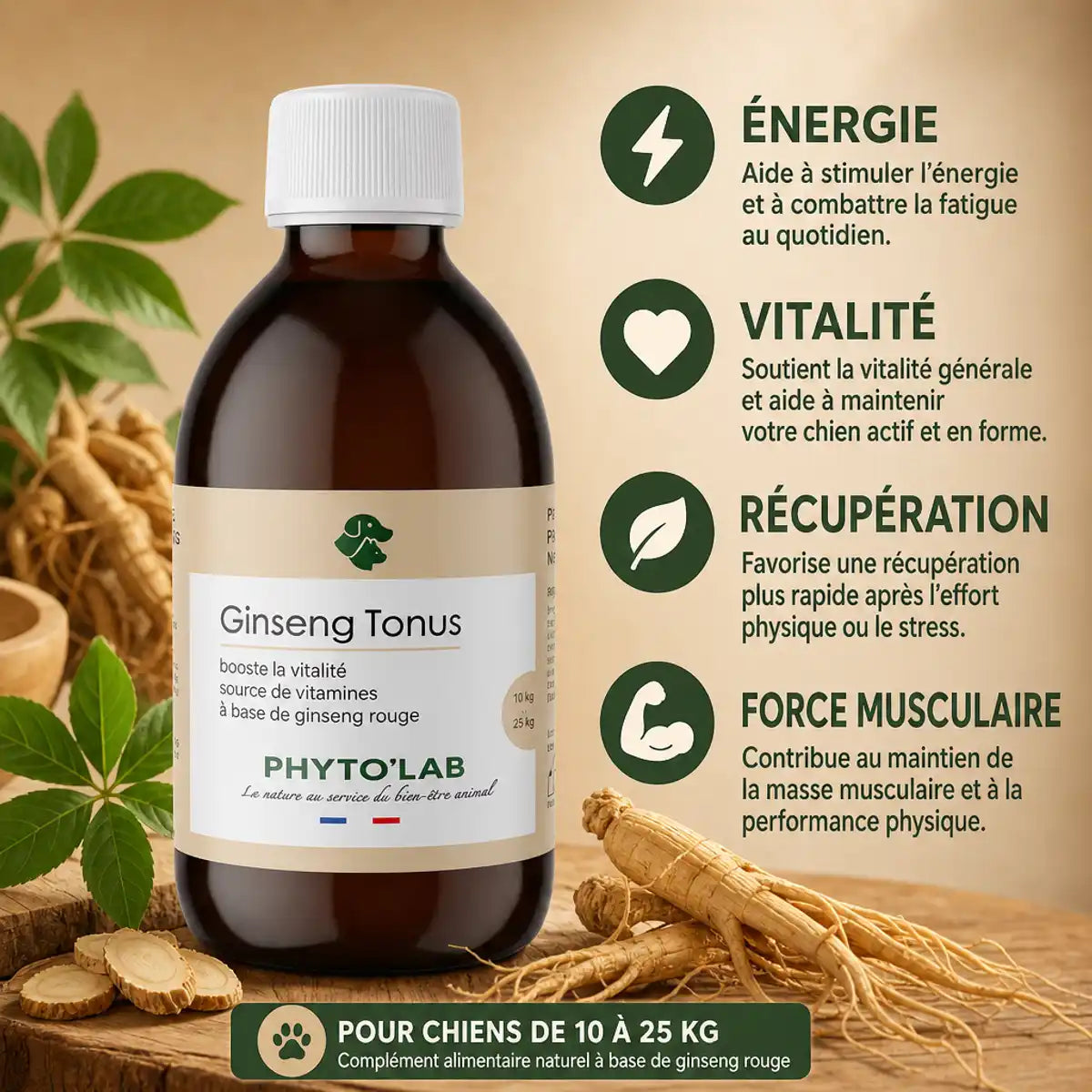 Ginseng Tonus Chien 250ml - Énergie, vitalité et force musculaire pour chiens 10-25kg
