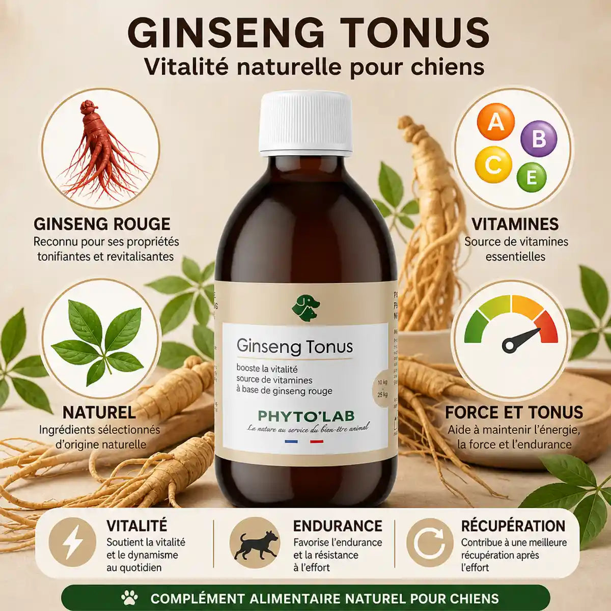 Ginseng Tonus Chien 250ml Phyto'Lab - Supplément force et tonus naturel pour chiens 10-25kg