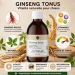 Ginseng Tonus Chien 250ml Phyto'Lab - Supplément force et tonus naturel pour chiens 10-25kg
