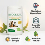 Glucoregul complément pour chien chat diabétique surpoids avec bénéfices régulation glycémique contrôle poids