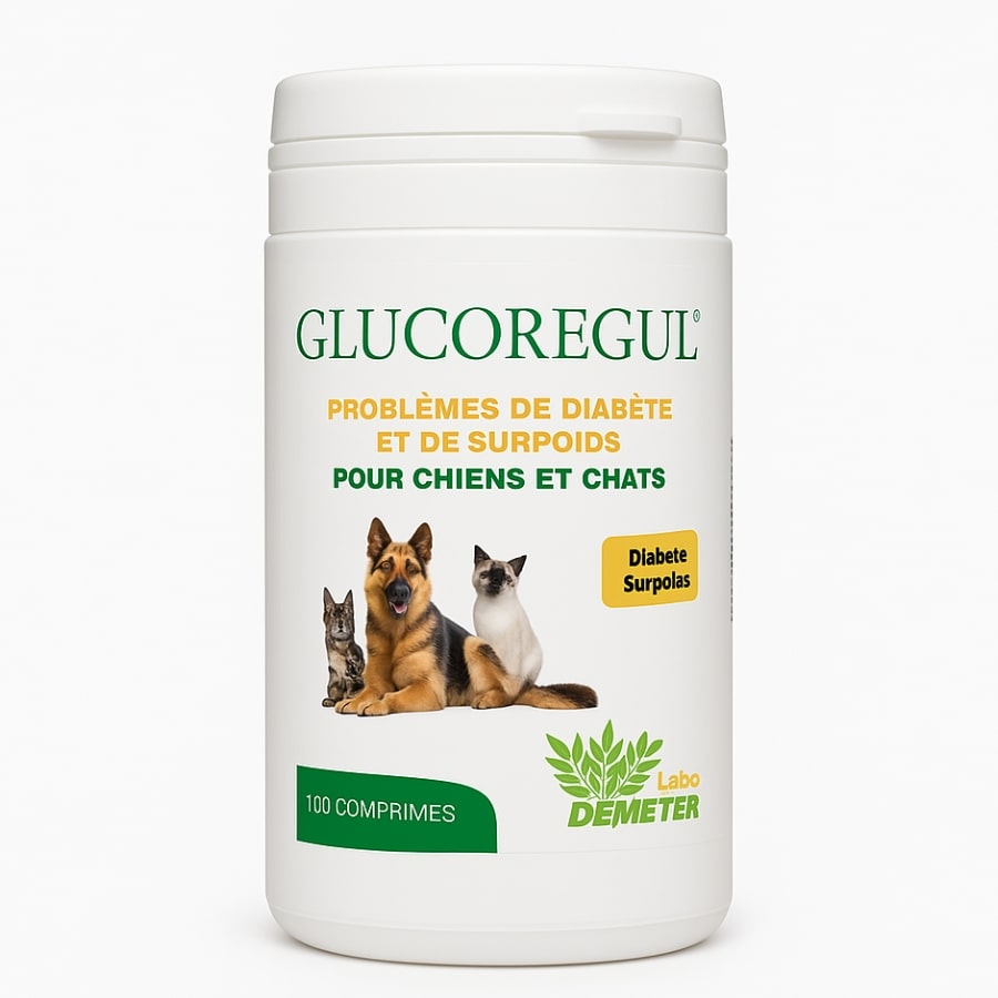 Une boite de 100 comprimés de Glucoregul de la marque Labo Demeter