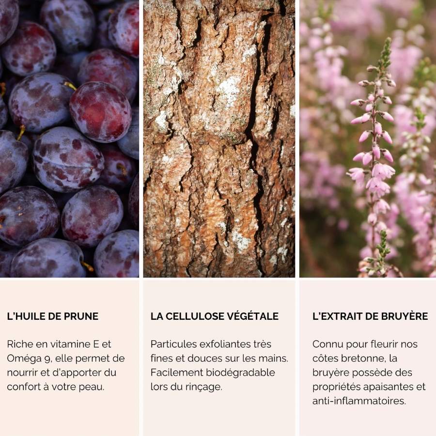 Les ingrédients et leurs bienfaits respectifs du gommage mains de 50 ml de la marque Unaöd