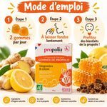 Gommes Propolis Gingembre Citron Bio Propolia - 45g avec mode d'emploi et ingrédients naturels