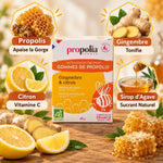 Gommes Propolis Gingembre Citron Bio Propolia 45g avec ingrédients naturels et bienfaits