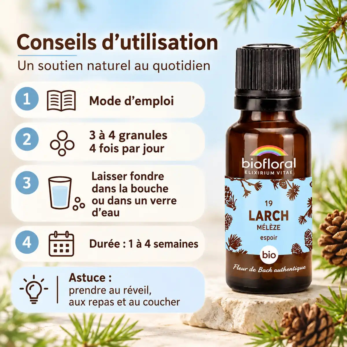 Granules Fleur de Bach Larch (mélèze) bio Biofloral et guide d'utilisation : 3 à 4 granules, 4 fois par jour