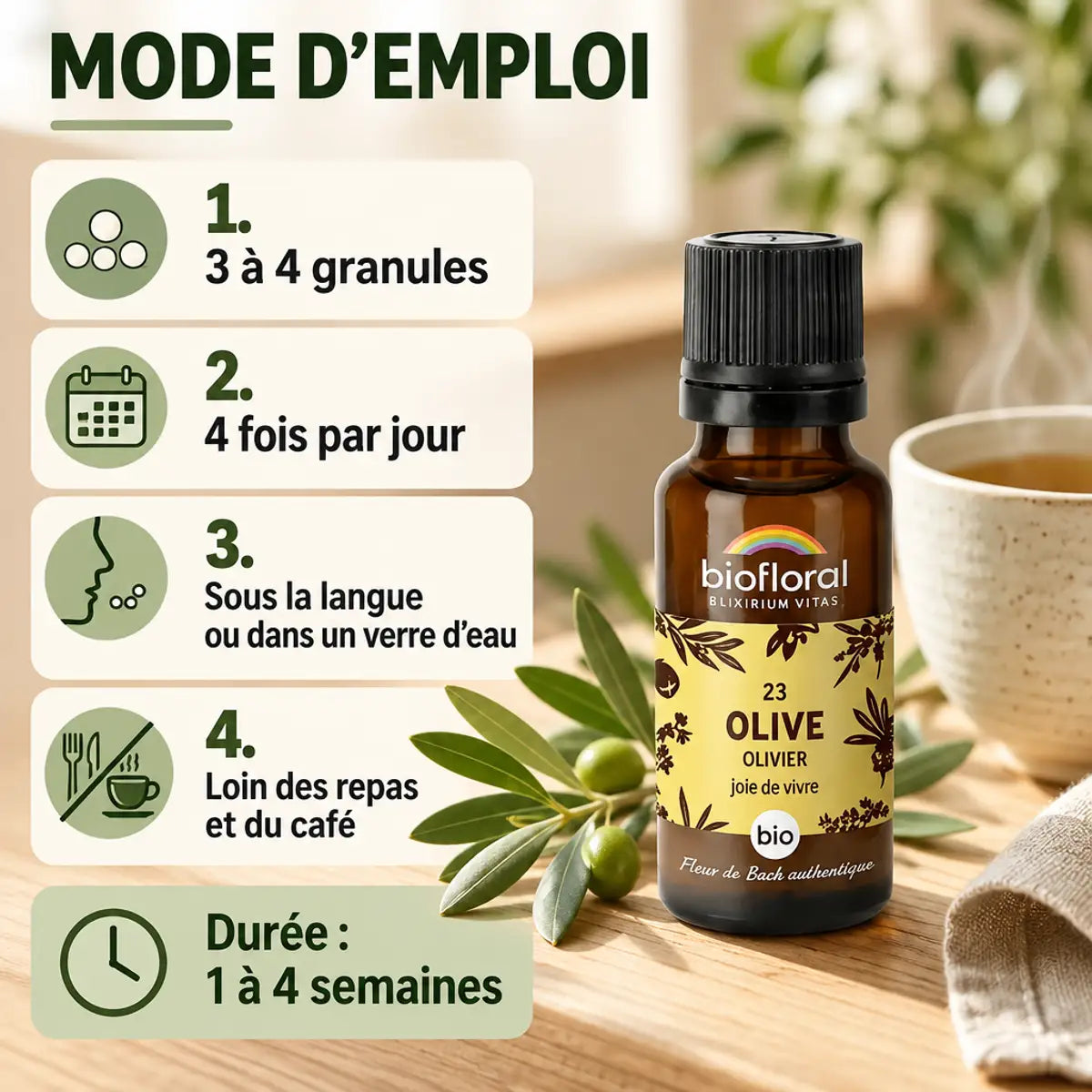 Granules Fleur de Bach n°23 Olivier bio 19,5 g : flacon Biofloral, feuilles d'olivier et infographie mode d'emploi