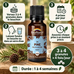 Granules Fleur de Bach n°24 Pine bio Biofloral avec flacon ambré, pommes de pin et mode d'emploi en 4 étapes