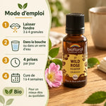 Granules Fleur de Bach n°37 Wild Rose (Églantier) bio Biofloral, flacon ambré et guide d'utilisation en 4 étapes sur fond bois