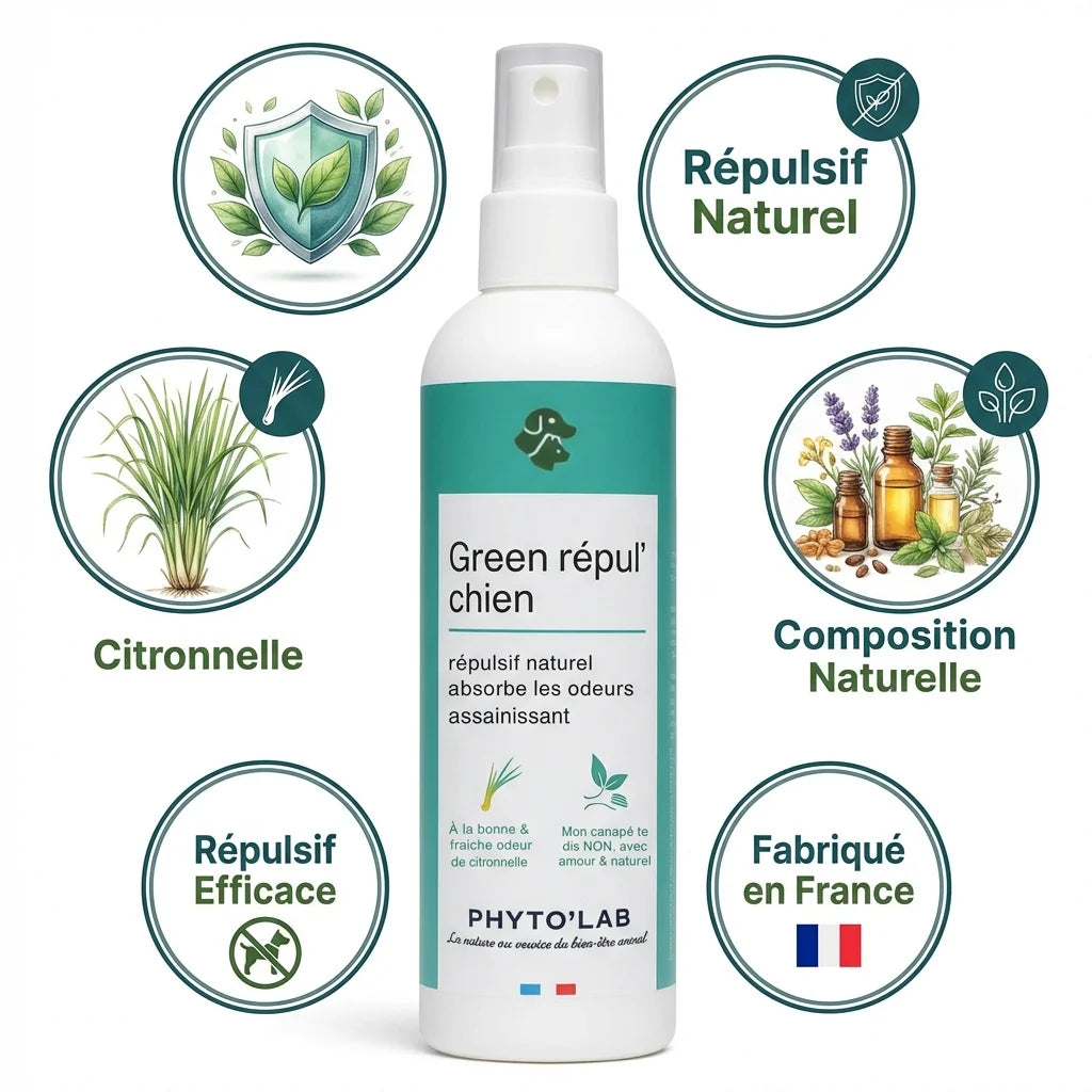 Spray répulsif naturel Green Repul' Chiens 250ml Phyto'Lab à la citronnelle sur fond blanc