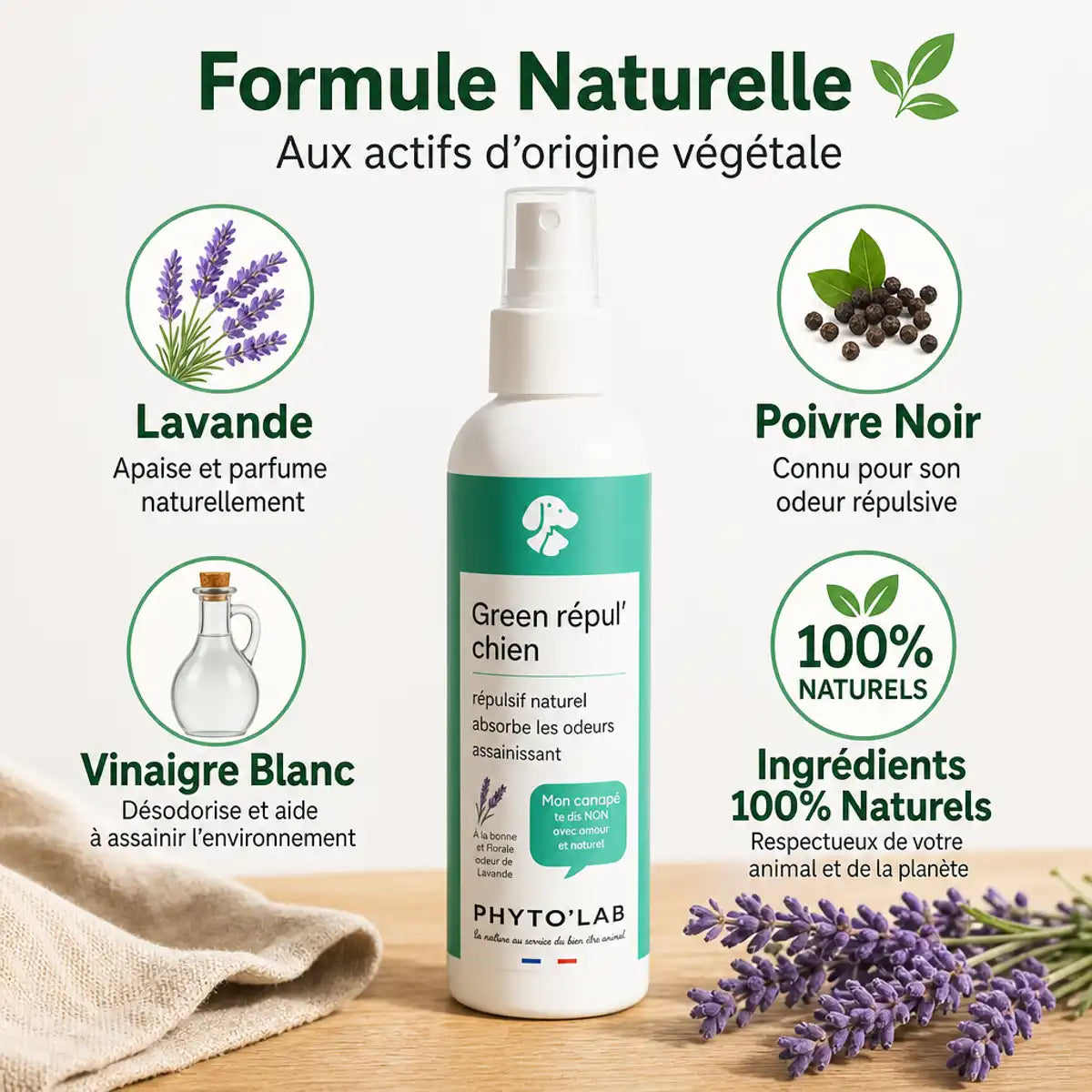 Spray répulsif naturel Green Repul' Chiens lavande 250ml avec ingrédients naturels Phyto'Lab