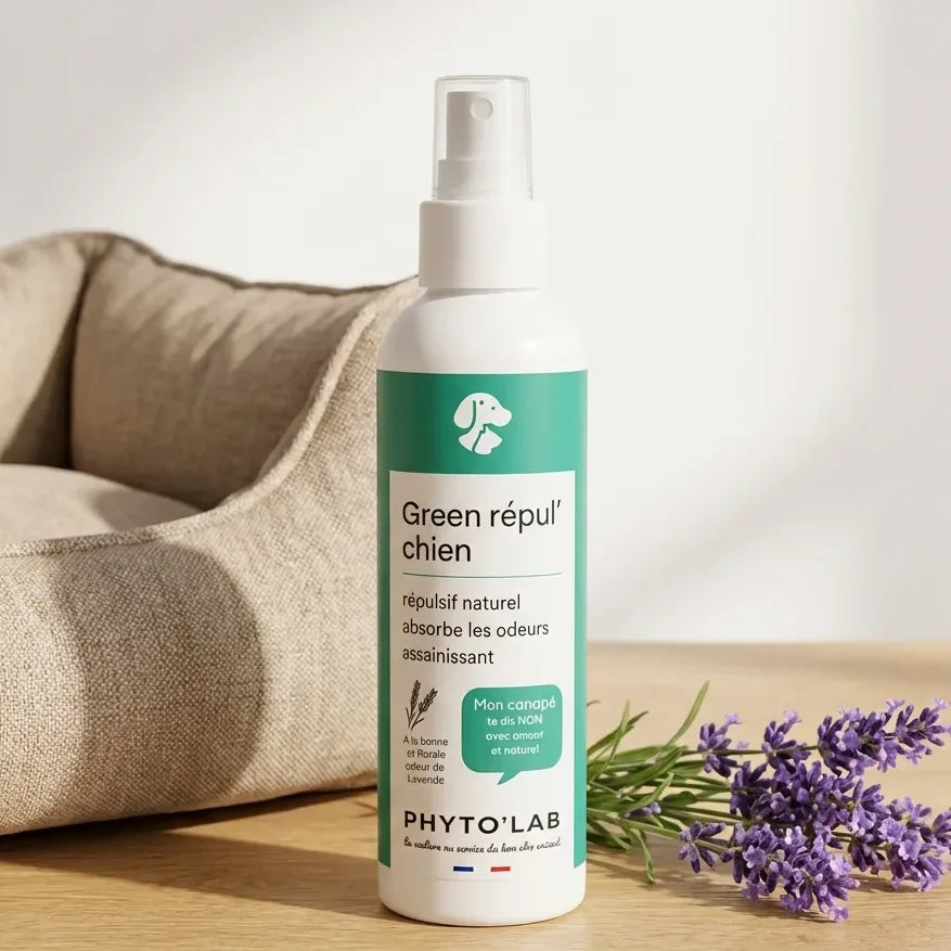 Spray répulsif chiens Green Repul' lavande 250ml sur lit pour chien avec fleurs lavande