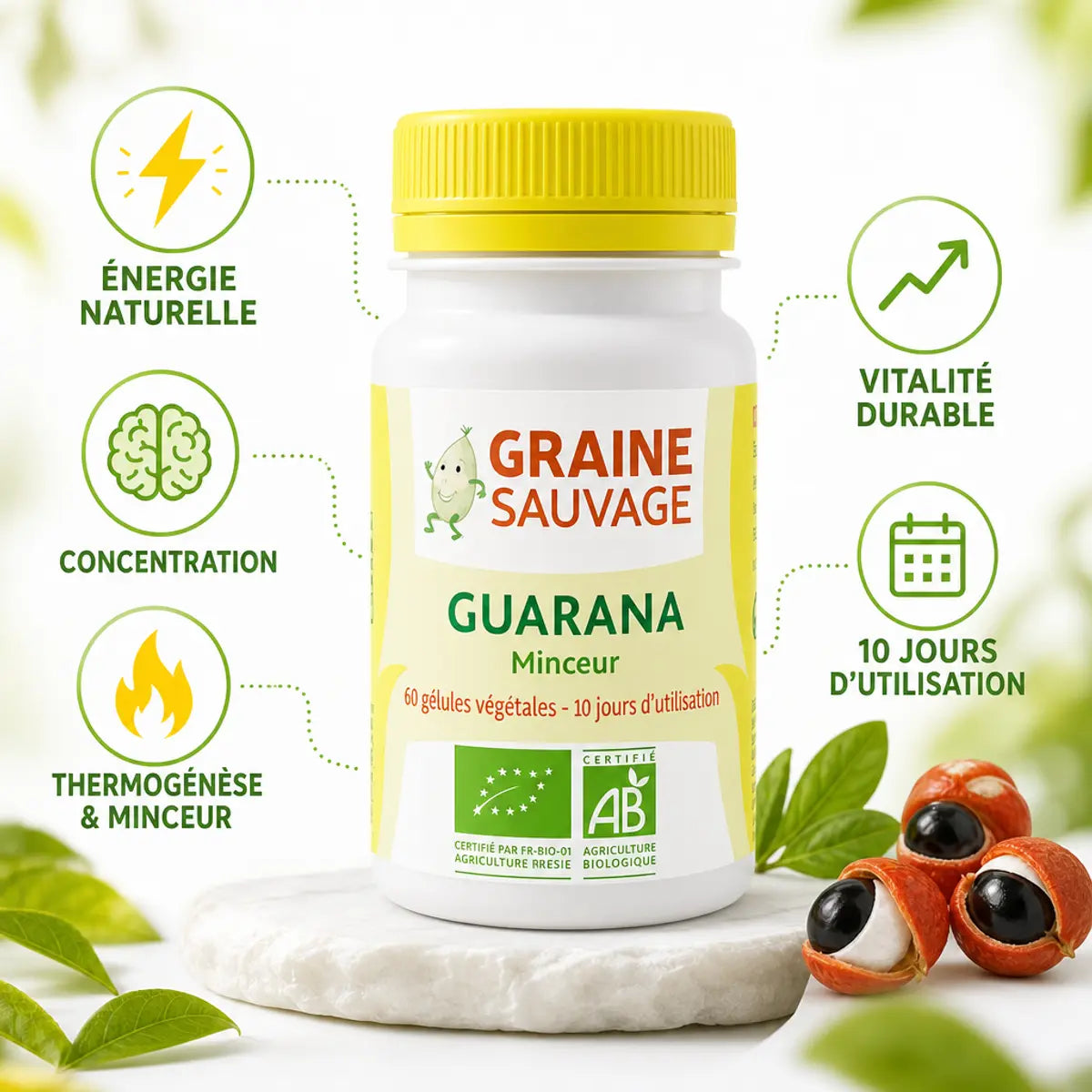 Guarana bio 60 gélules Graine Sauvage avec icônes bénéfices énergie concentration minceur
