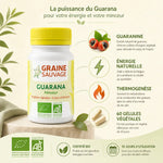 Guarana bio 60 gélules Graine Sauvage avec ingrédients actifs, énergie naturelle et certification biologique