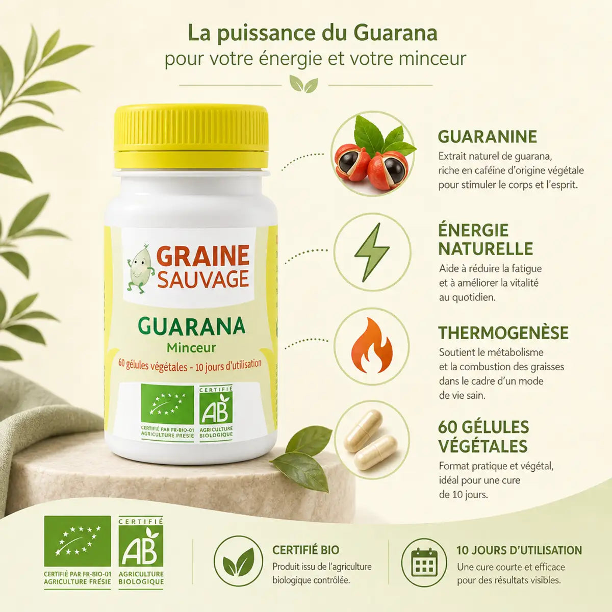 Guarana bio 60 gélules Graine Sauvage avec ingrédients actifs, énergie naturelle et certification biologique