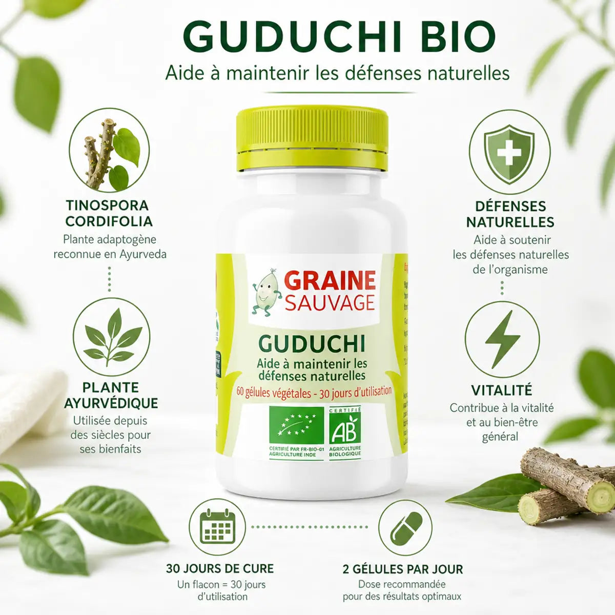Guduchi Bio 60 gélules vegan Graine Sauvage avec infographie ingrédients Tinospora Cordifolia et bénéfices ayurvédiques